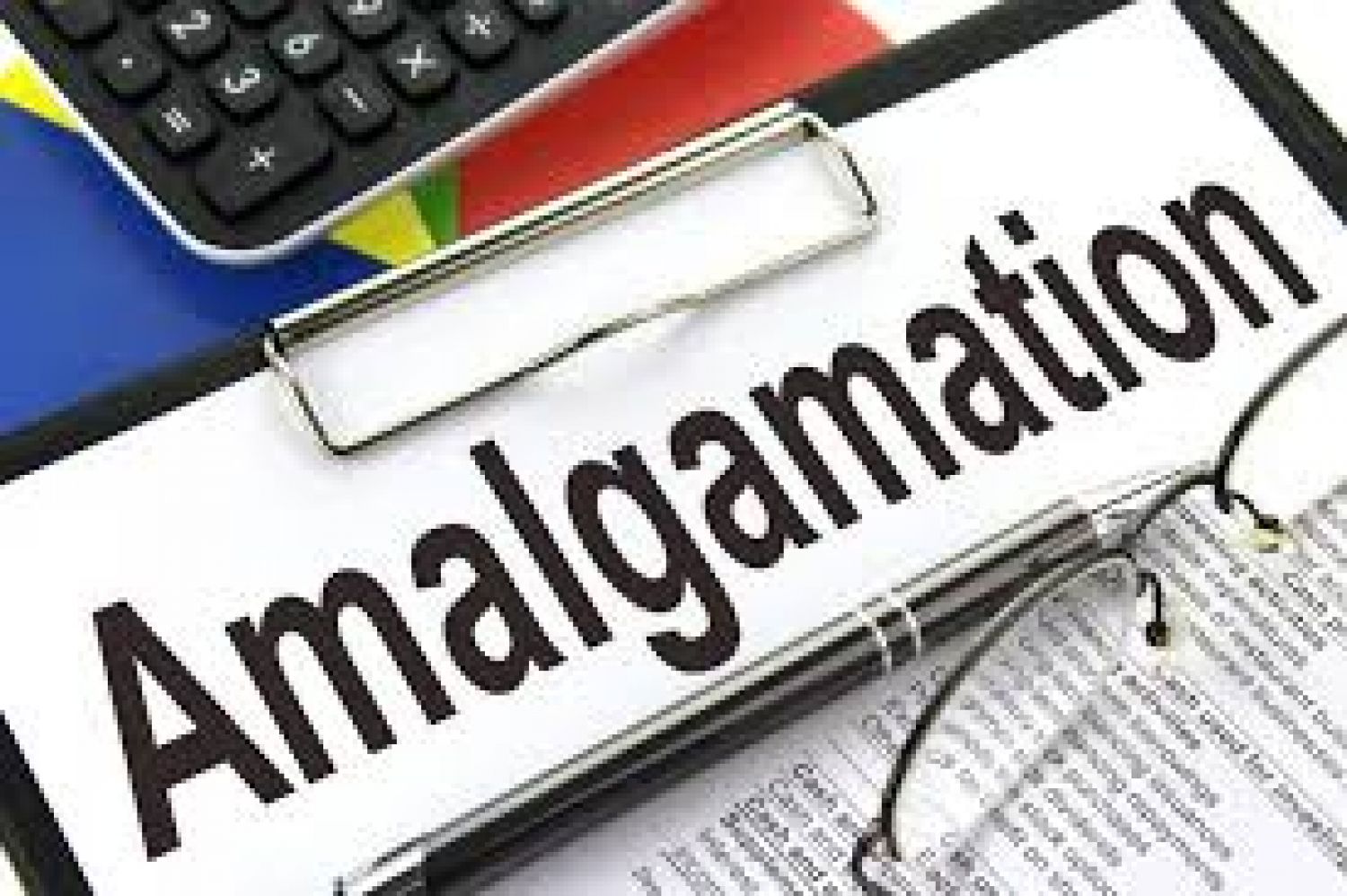 Amalgamation Services in India