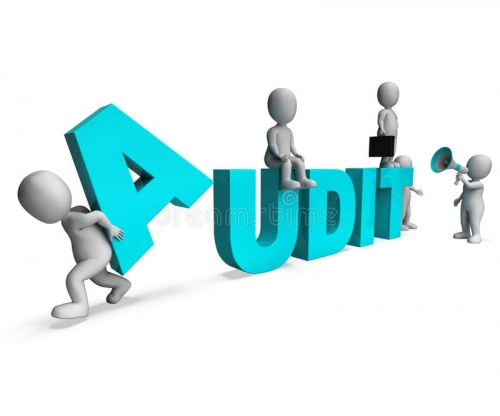 AUDIT UNDER GOODS AND SERVICES TAX
