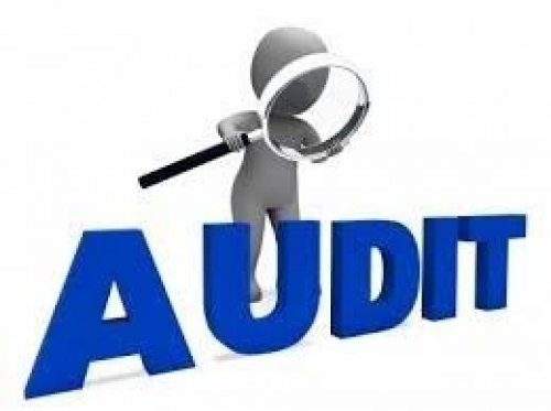 AUDIT UNDER GOODS AND SERVICES ACT 2017