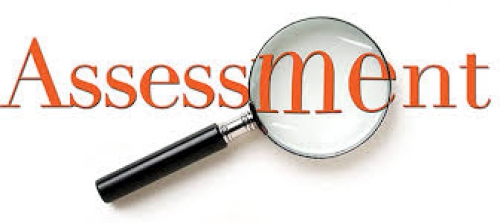 OVERVIEW OF ASSESSMENT UNDER GST