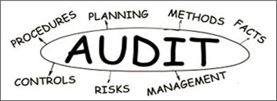 Internal Audits