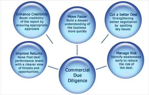 Due Diligence Audit