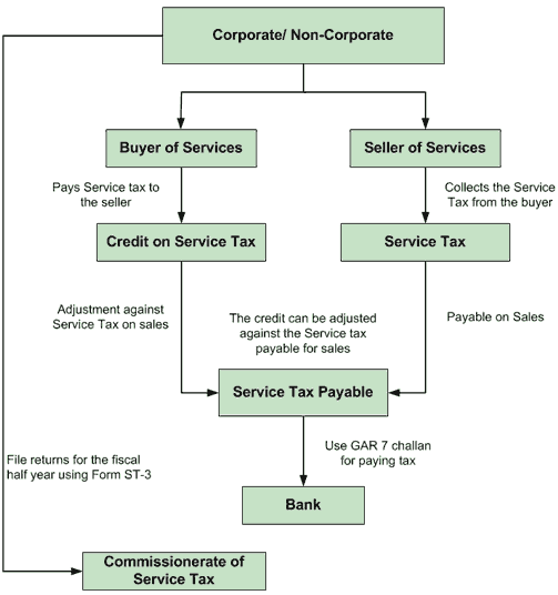 tax proedure